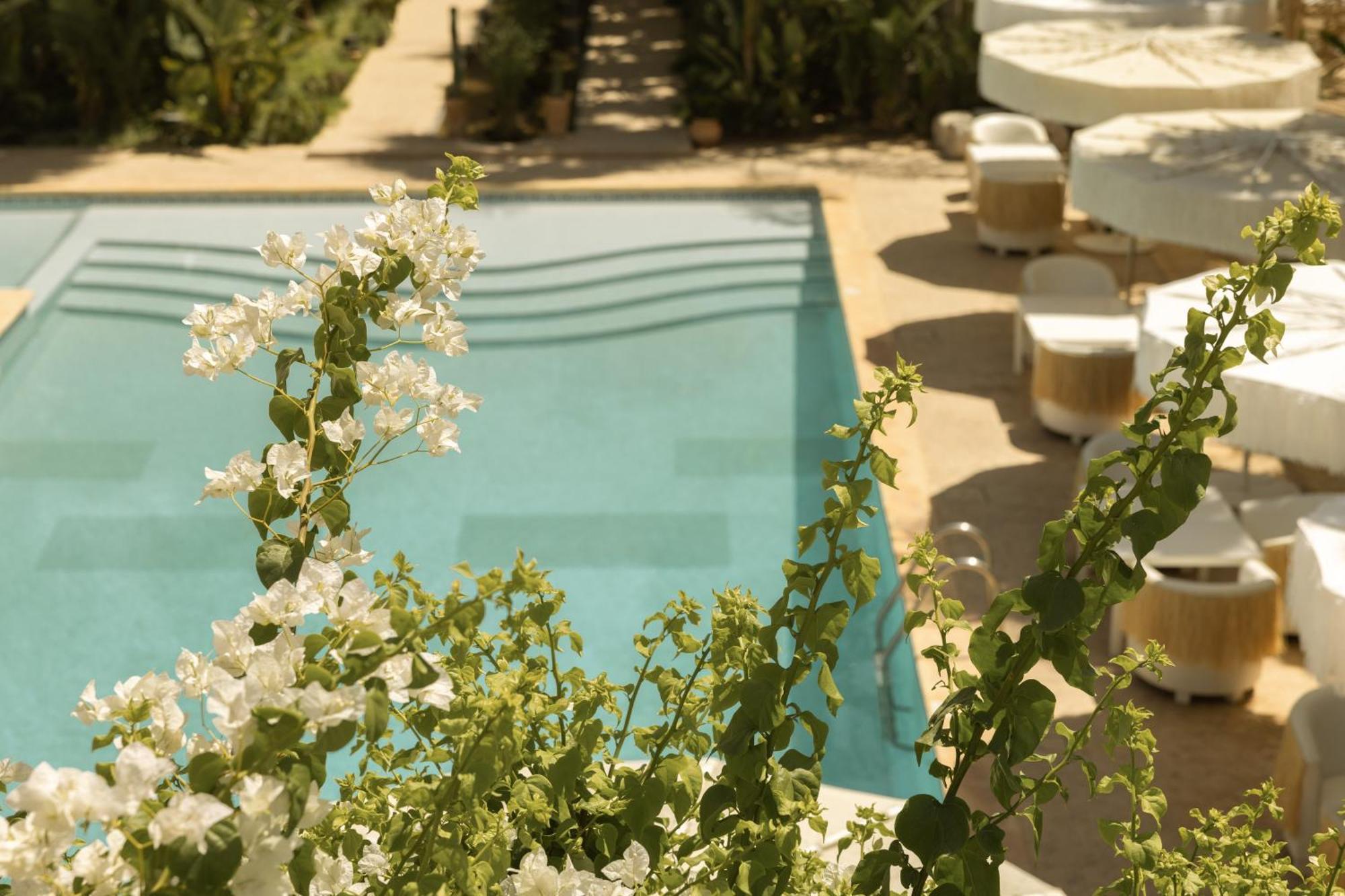 Les Palmiers Boutique Hotel & Spa Marrakesh Extérieur photo