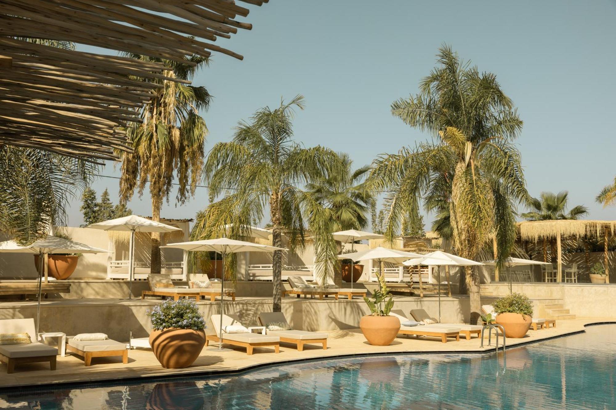 Les Palmiers Boutique Hotel & Spa Marrakesh Extérieur photo